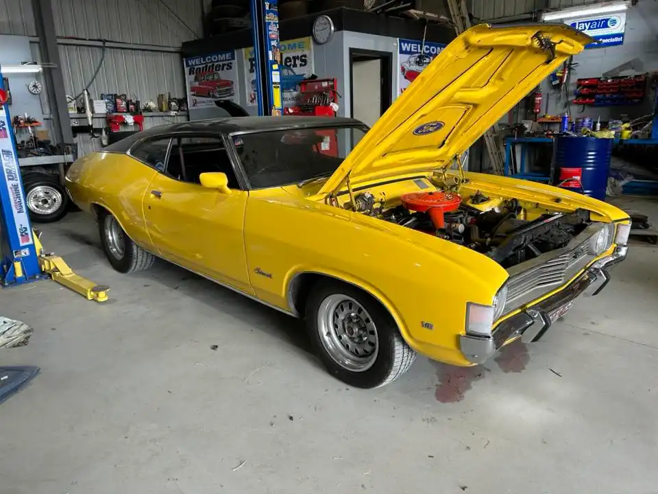 495602256 1207811954466511 4529533249123360564 n